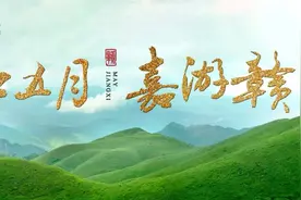 二日游、三日游自由选择！九江这条被无数人钟爱的自驾游线路，私藏了最美的初夏小时光！图片