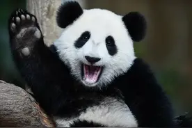世界微笑日｜第一张笑容就被萌化了图片