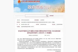 两部门：鼓励社会资本投资现代种业等13个重点产业和领域图片