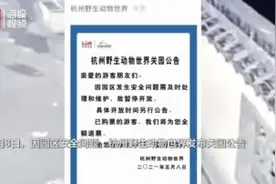 杭州山林发现豹子 村民：村里还来过猴子 曾进入家中捣乱图片