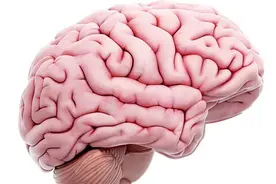 开颅手术与颅骨切除术