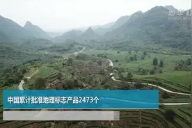中国累计批准地理标志产品２４７３个视频封面