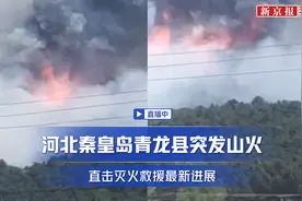 河北秦皇岛青龙县突发山火 直击灭火救援最新进展图片