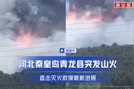 河北秦皇岛青龙县突发山火 直击灭火救援最新进展图片