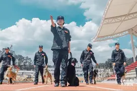 走进云南警花训导员和她的警犬“战友”图片