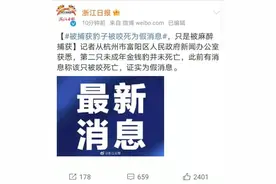 金钱豹出逃事件最新进展：第二只还活着！没有被狗咬死，只是被麻醉了图片