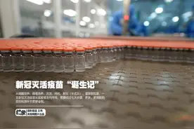 新冠灭活疫苗“诞生记”图片