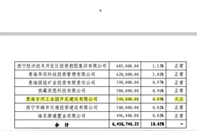 金融报道｜青海银行之困：盈利能力断层资产质量恶化 大客户贷款风险需关注图片