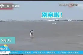 一对情侣在海边激吻，旁人大喊叫停：别亲了，涨潮了！视频封面