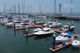新华全媒+｜消博会VLOG：我是要成为海贼王的男人 但是先得找条船图片
