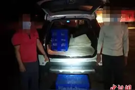 广西崇左警方查获省级保护鸟类八哥幼崽357只图片