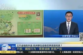 三只金钱豹外逃  杭州野生动物世界该担何责？  不报、瞒报行为：需要道歉  更需严惩视频封面