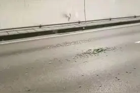 诸永高速上掉落一包螺丝钉，后方32辆车遭殃……图片