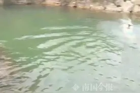 痛心！初二男生溺水，老师7小时后才发现图片