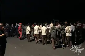 持续更新｜杭州第三只出逃豹子合围时再逃脱，白天继续搜寻图片