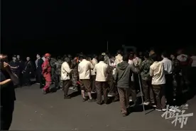 凌晨1点，山上合围第三只豹子，被它飞快逃走！已被寻回的两只，瘦了…图片