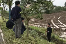 新闻背后的故事｜关于这次中央环保督察，有哪些账该算清楚图片
