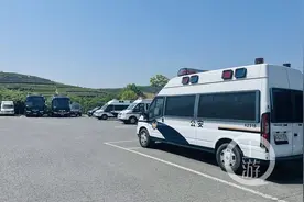 第3只出逃金钱豹搜捕范围锁定杭州龙井茶主产地，当地曾多次出现猴子伤人图片
