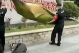 飞来横祸！树上掉下一片枯叶 过路男子被砸晕？图片