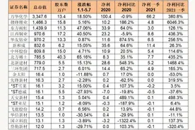 新材料上市公司哪家强？谁最赚钱，谁股价翻倍，谁净利暴涨30倍图片