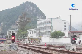 全球连线｜榴莲持续走俏助推中国—东盟经贸往来图片