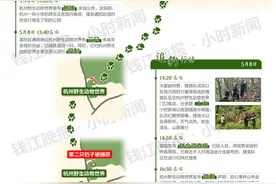 寻豹·读图 | 一张图，看完三只豹子出逃记图片