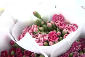 鲜花赠慈母 你记忆中妈妈的唠叨是什么？图片