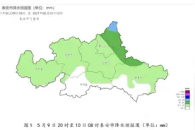 阵风8级！泰安将迎强对流降雨天气，9日夜间到10日白天有雷雨图片