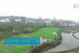 四川开展“空天地”一体化全覆盖耕地动态监测视频封面