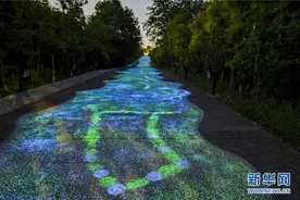 重庆这条乡村步道铺满荧光石 璀璨如星空图片