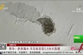 新房天花板现5.6米长裂缝,楼上一倒水楼下立马渗漏,反映2年没解决视频封面
