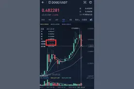 失算了！狗狗币一日暴跌25%，“教父”马斯克竟称是“骗局”，币圈哀嚎一片，有人300万瞬间归0 ……图片