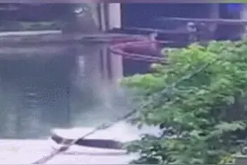 本能！车辆坠河，母亲奋力托举孩子出水……图片