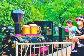 “儿童小火车”：冰城特色的时代传奇图片