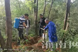 淮南市舜耕山湿地公园防治白蚁 掘地三尺“生擒”蚁王蚁后图片