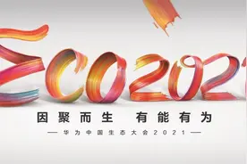 华为中国生态大会2021：新十年生态之变 有“能”才有为图片