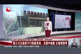 杭州“金钱豹出逃”事件追踪：如何出逃？  如何追责？  第三只出逃豹子行踪被发现：合围中逃脱  正继续搜寻视频封面