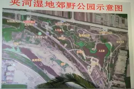 夹河湿地郊野公园损毁基础设施整修方案出台 力争年底前完成图片