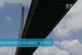 上海推动国资国企从中心城区向“五个新城”聚集视频封面
