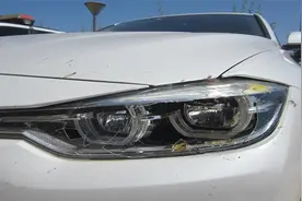 高速公路突然窜出一只野鸡 车辆避让不及撞了上去视频封面