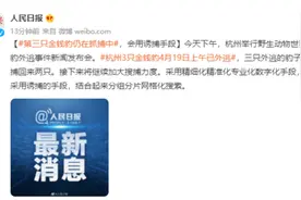 杭州发布会：第三只金钱豹仍在抓捕中，会用诱捕手段图片