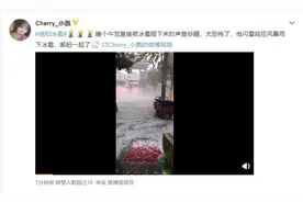 信阳突然下冰雹，车被砸了，保险究竟赔不赔？图片