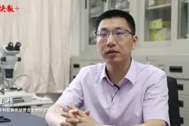 太厉害！10年，他们在福建漳浦发现了世界级化石宝库图片