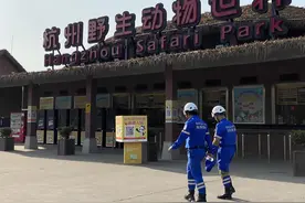 3只金钱豹出逃的22天：从“丢豹”到“瞒豹”图片