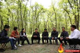 黄河故道国家森林公园：三代林场人的绿色梦想图片