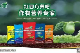 复合肥价格一路领跑，特肥需求旺盛图片