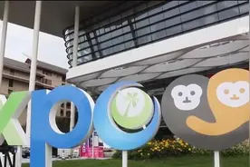 首届中国国际消费品博览会闭幕 中国品牌加速走向全球市场图片