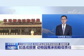 专家：第3只豹子，可能已经死亡……图片