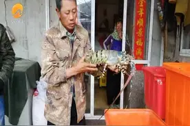 惠安：中华锦绣大龙虾现身崇武沿海 重达5斤4两图片