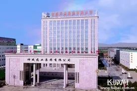 河北！从“新”出发｜神威药业：迈向中药产业现代化“新天地”图片